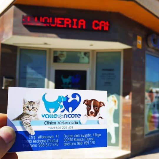 clínica veterinaria valle de ricote